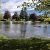 SOLHEIM CUP GLENEAGLES