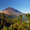 Tenerife lucky Island