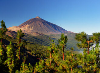 Tenerife lucky Island