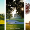 Stay & Play Sotogrande