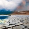Myco#01, reflexión sobre la emergencia climática