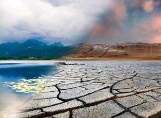 Myco#01, reflexión sobre la emergencia climática