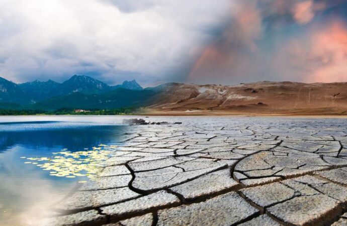 Myco#01, reflexi&oacute;n sobre la emergencia clim&aacute;tica, Revista de Golf para Mujeres, Ladies In Golf