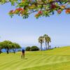 Hotel Jardín de Tecina & Tecina Golf, a real Paradise