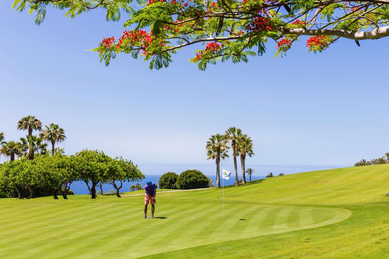 Hotel Jardín de Tecina & Tecina Golf, a real Paradise