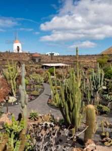 Welcome to the Lanzarote effect, where time stops, Women's Golf Magazine, Ladies In Golf