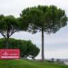 Del hoyo 17 del Santander Golf directa a Marruecos