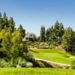 Chaparral Golf: el campo que renació con la familia Rubio, Revista de Golf para Mujeres, Ladies In Golf
