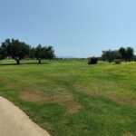 Oportunidad de inversi&oacute;n: Panor&aacute;mica Golf a subasta, Revista de Golf para Mujeres, Ladies In Golf
